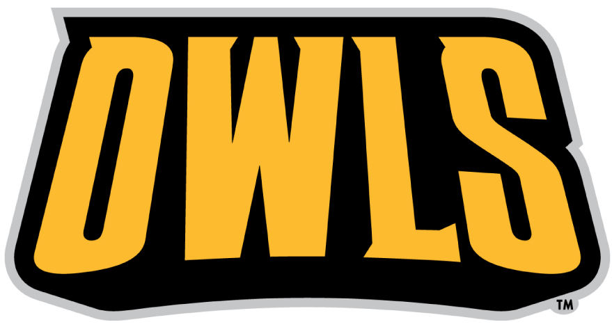 Kennesaw State Owls 2012-Pres Wordmark Logo diy fabric transfer